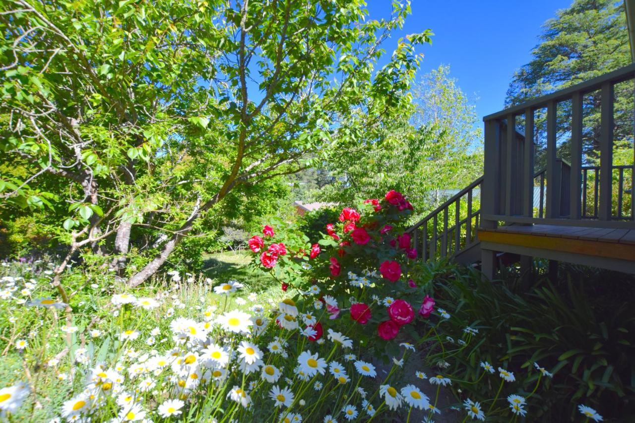 Mintie Cottage On Leura Mall Kültér fotó